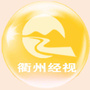 衢州经视ico