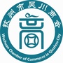 钦州市吴川商会ico
