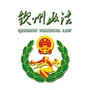 钦州政法ico