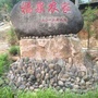 陶山诗词文化ico
