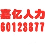 汝阳人才招聘Vico