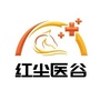 红尘医谷ico