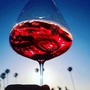 诗酒趁芳华wineico