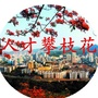 人才攀枝花ico