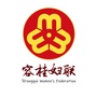 容桂街道妇联ico