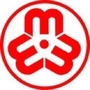 日照女性ico
