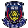 锐警武术ico