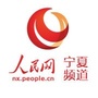 人民网宁夏频道ico