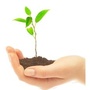 RootsEDU公众号ico