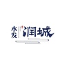 水发润城ico