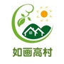 如画高村ico