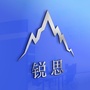 锐思财经公众号ico