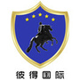 俄罗斯旅游ico