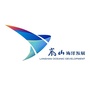 岚山海洋发展公司ico