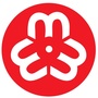岚山妇联ico