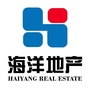 日照海洋地产ico