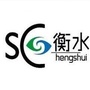 S眼看衡水ico