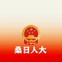 桑日人大ico