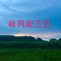 桂风起三五ico