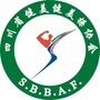 四川省健美健美操协会ico