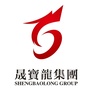 晟宝龙公众号ico