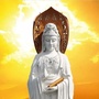 三宝苑ico