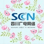 四川广电网络邛崃分公司ico