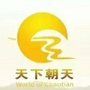 天下朝天ico