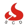 顺德报关ico