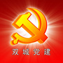 双城党建ico