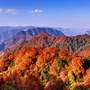 南江文旅ico