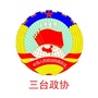 三台政协ico