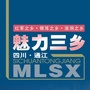 四川通江ico