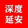 深度延安ico
