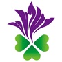 山东紫荆ico