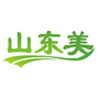 山东美公众号ico