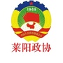 莱阳政协ico