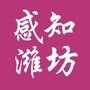 感知潍坊ico