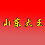 山东大王ico