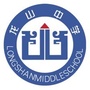 肥城市龙山中学ico