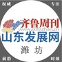 山东发展网潍坊频道ico