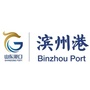 山东港口滨州港ico
