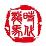 时代龙马ico