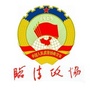 临清政协ico