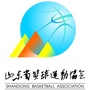山东省篮球运动协会ico