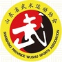 山东省武术运动协会公众号ico