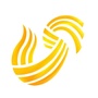 山东卫视ico