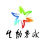 生动孝感ico