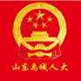 山东禹城人大ico