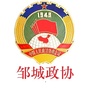 邹城政协ico